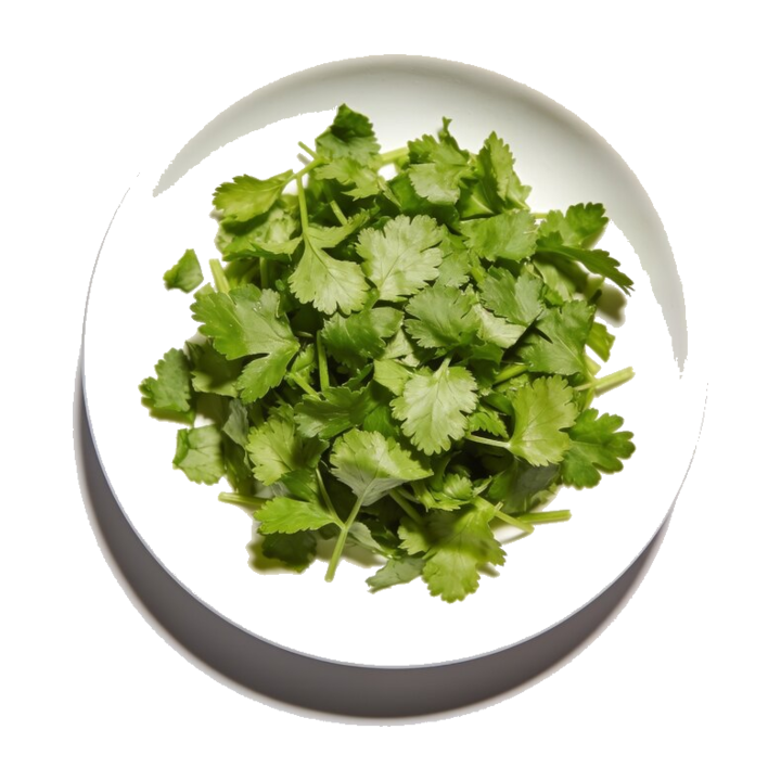 Chopped Cilantro